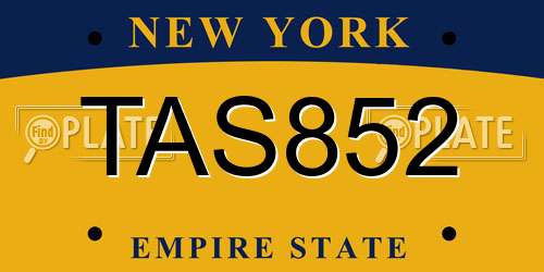 TAS852 New York License Plate