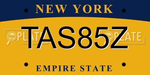 TAS85Z New York License Plate