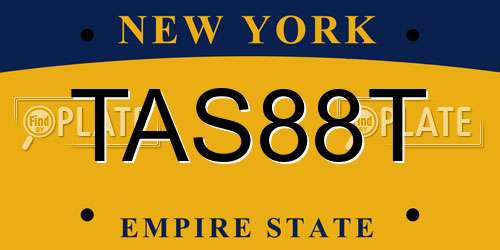 TAS88T New York License Plate