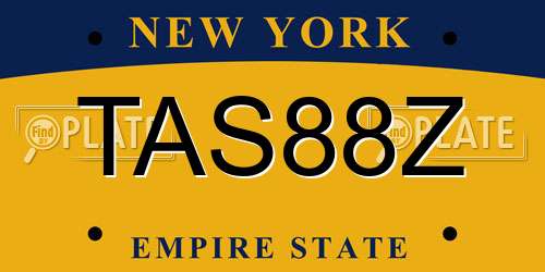 TAS88Z New York License Plate
