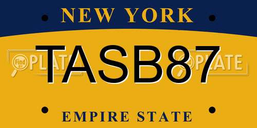 TASB87 New York License Plate