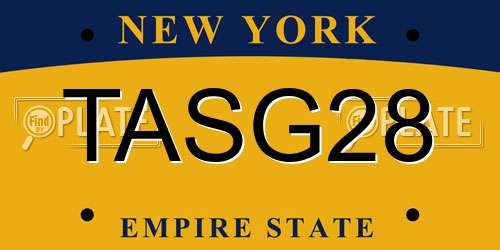 TASG28 New York License Plate