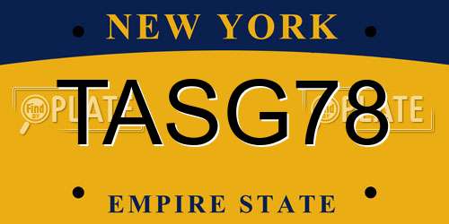 TASG78 New York License Plate