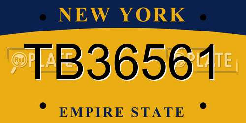 TB36561 New York License Plate