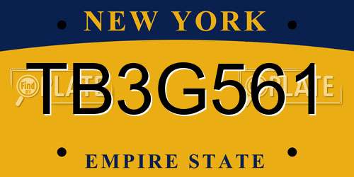 TB3G561 New York License Plate