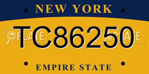TC86250 New York License Plate