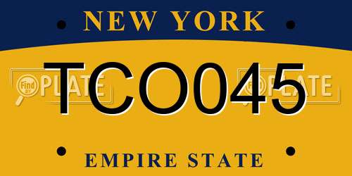 TCO045 New York License Plate