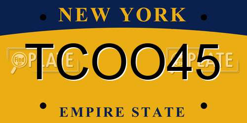 TCOO45 New York License Plate