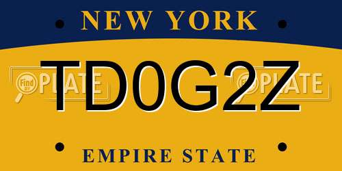 TD0G2Z New York License Plate