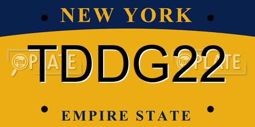 TDDG22 New York License Plate