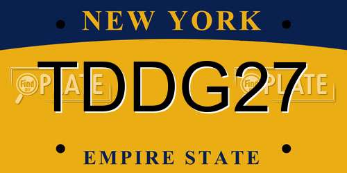 TDDG27 New York License Plate