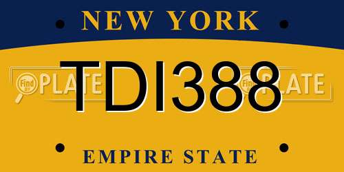 TDI388 New York License Plate