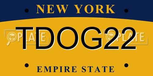 TDOG22 New York License Plate