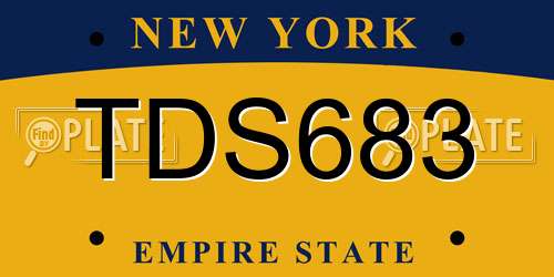 TDS683 New York License Plate