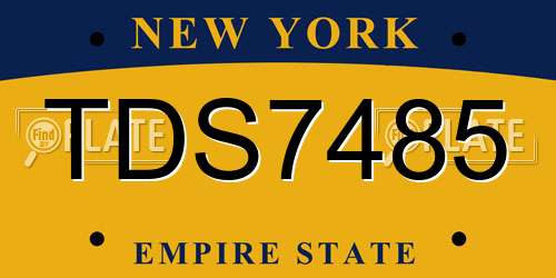 TDS7485 New York License Plate