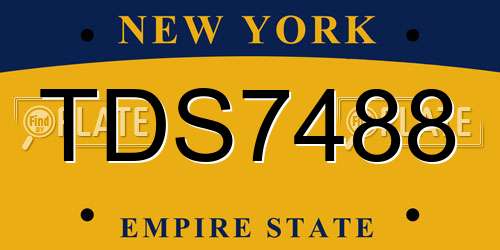 TDS7488 New York License Plate