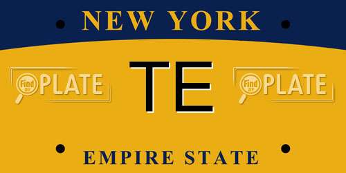 TE New York License Plate