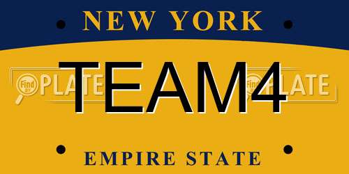TEAM4 New York License Plate