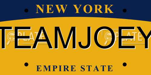TEAMJOEY New York License Plate