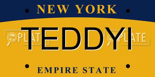 TEDDYI New York License Plate