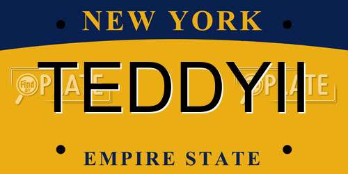 TEDDYII New York License Plate