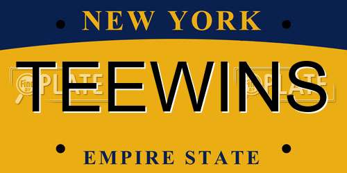 TEEWINS New York License Plate