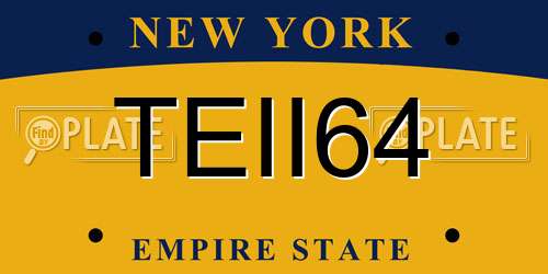 TEII64 New York License Plate