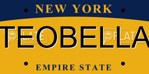 TEOBELLA New York License Plate