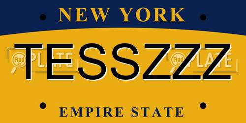 TESSZZZ New York License Plate
