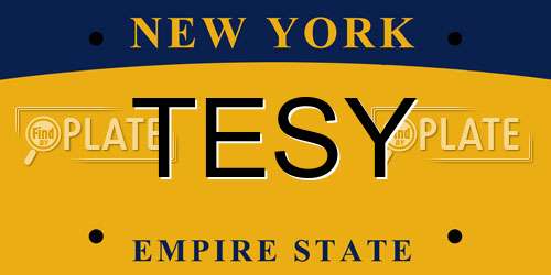 TESY New York License Plate