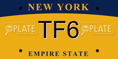 TF6 New York License Plate