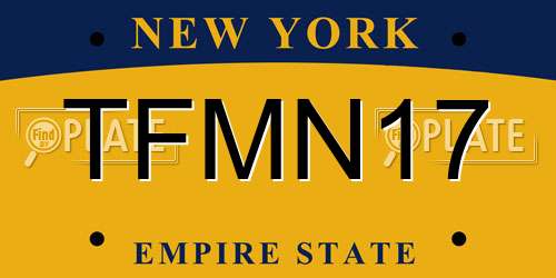 TFMN17 New York License Plate