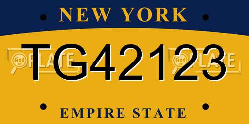 TG42123 New York License Plate