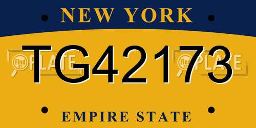 TG42173 New York License Plate