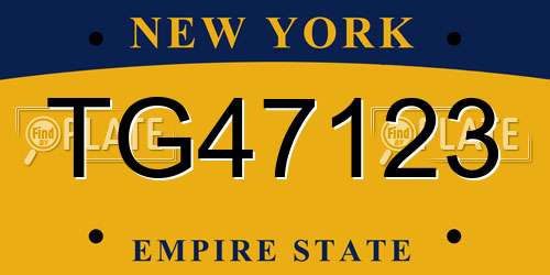 TG47123 New York License Plate