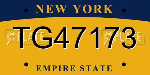 TG47173 New York License Plate
