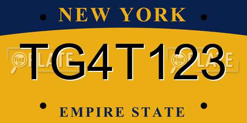 TG4T123 New York License Plate
