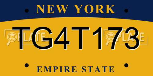 TG4T173 New York License Plate