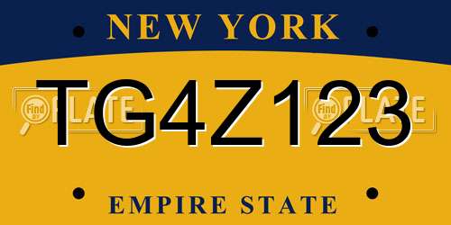 TG4Z123 New York License Plate