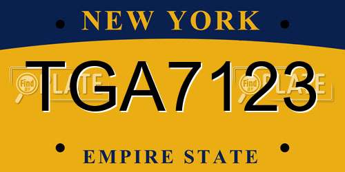 TGA7123 New York License Plate