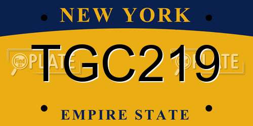 TGC219 New York License Plate