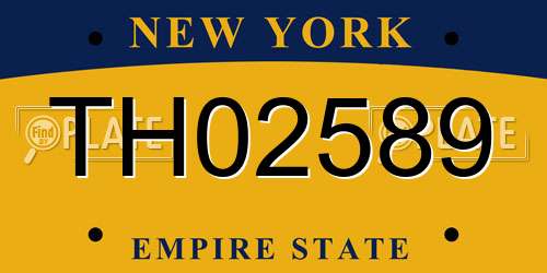 TH02589 New York License Plate