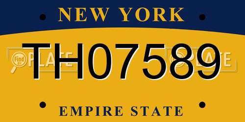 TH07589 New York License Plate