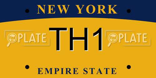 TH1 New York License Plate