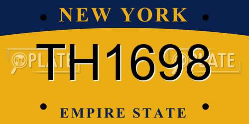 TH1698 New York License Plate