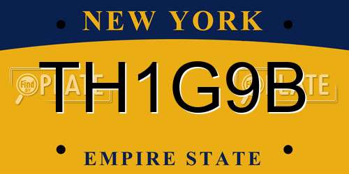 TH1G9B New York License Plate