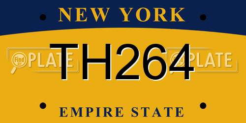 TH264 New York License Plate