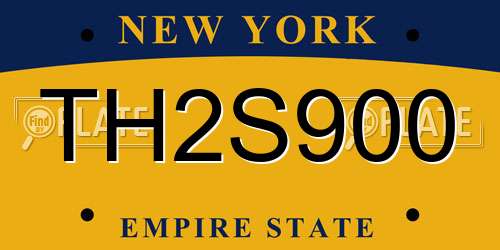 TH2S900 New York License Plate
