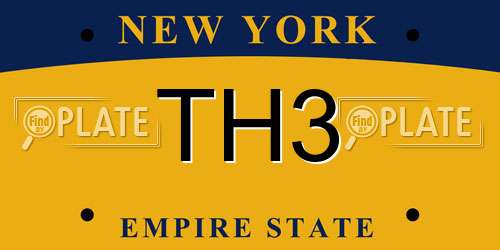 TH3 New York License Plate