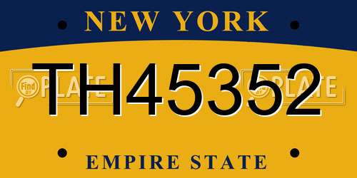 TH45352 New York License Plate